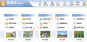 信息技術集成應用助力現代農業轉型升級的優秀案例與推廣服務